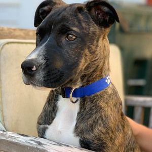 Meet your Posher, Christie